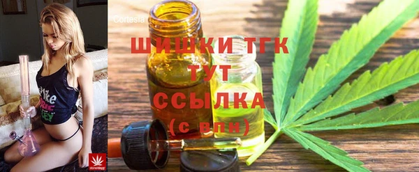 стафф Богородицк
